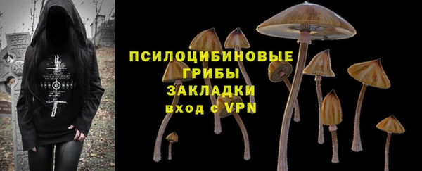 синтетический гашиш Костерёво